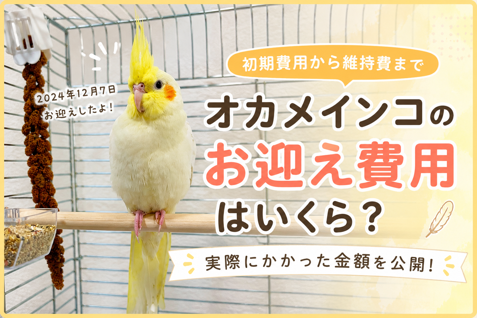 オカメインコのお迎え費用画像